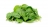 Шпинат